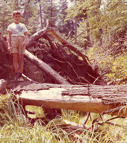 %_tempFileNamebook1a0141%