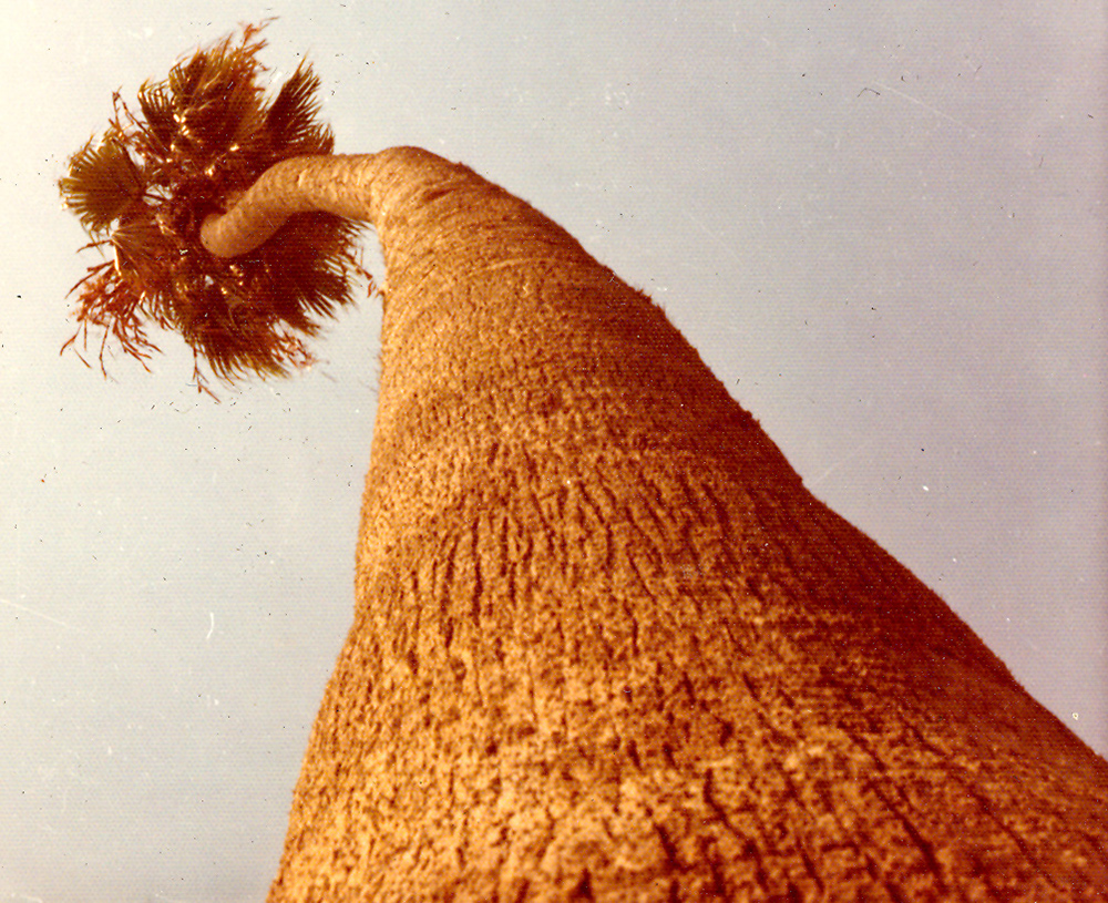 %_tempFileNamebook1a0171%