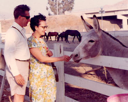 %_tempFileNamebook1a0195%