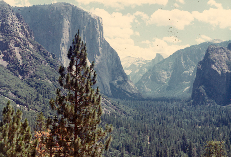 %_tempFileNamebook1a0203%