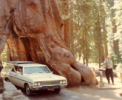 %_tempFileNamebook1a0207%