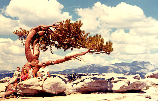 %_tempFileNamebook1a0218%