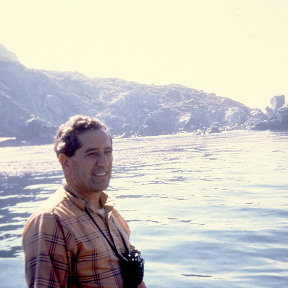 %_tempFileNamebook1a0218c%