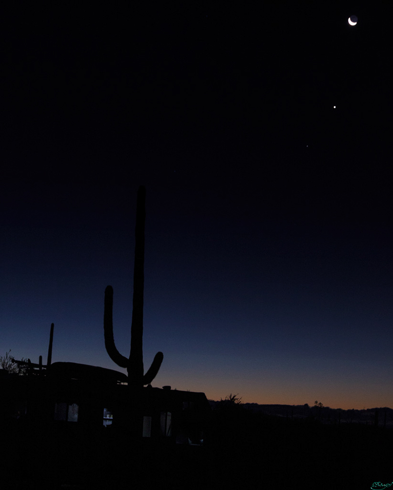 %_tempFileNameIMG_6033%