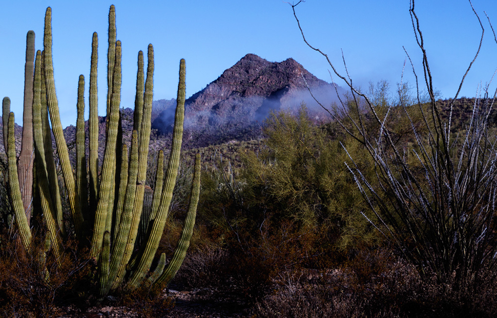 %_tempFileNameIMG_6034%