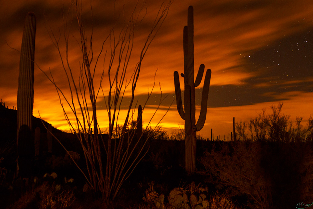 %_tempFileNameIMG_6050%