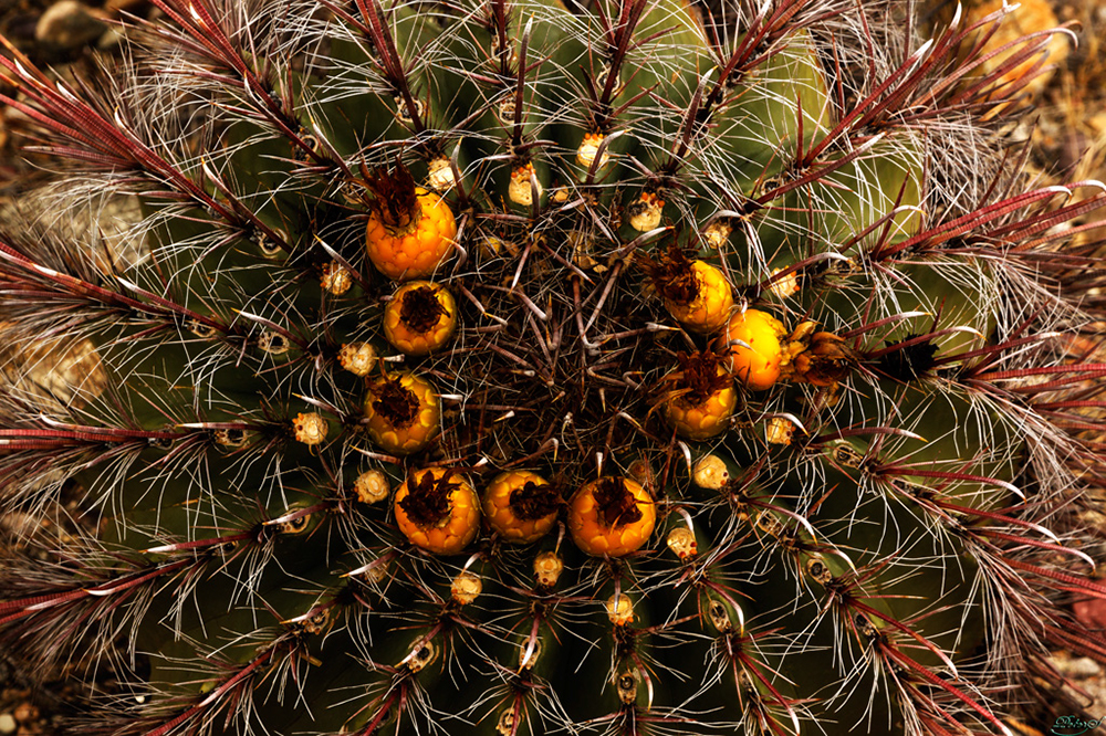 %_tempFileNameIMG_6054%