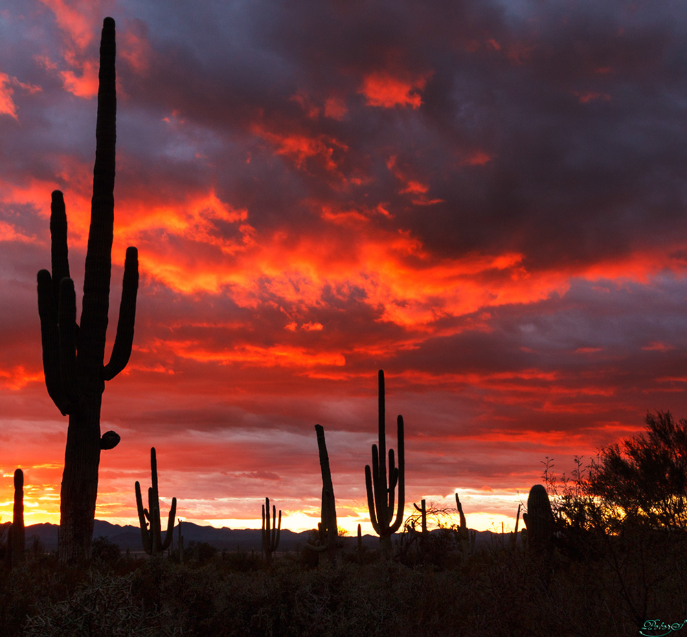 %_tempFileNameIMG_6064%