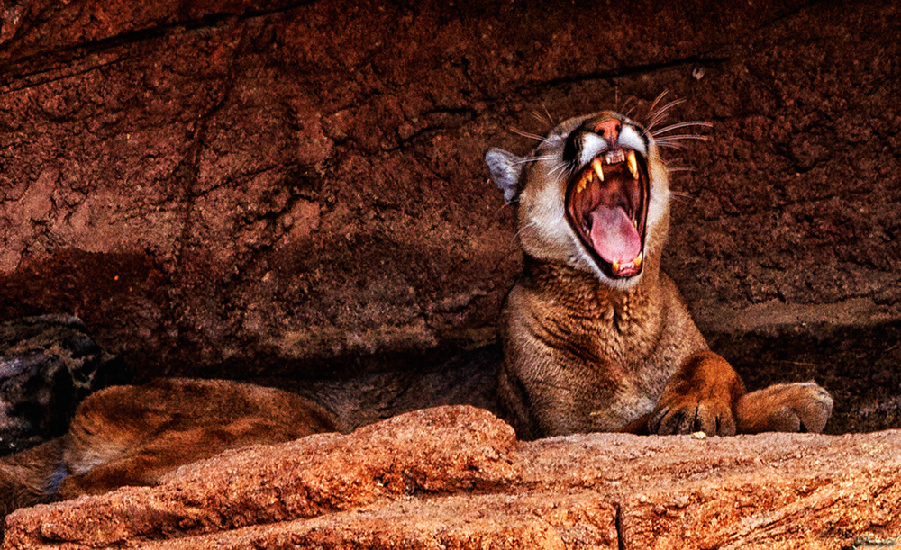 %_tempFileNameIMG_6082%