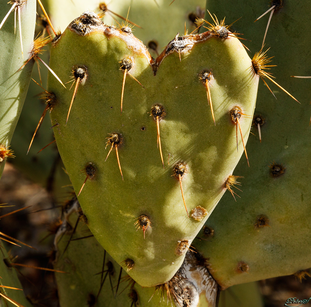 %_tempFileNameIMG_6083%