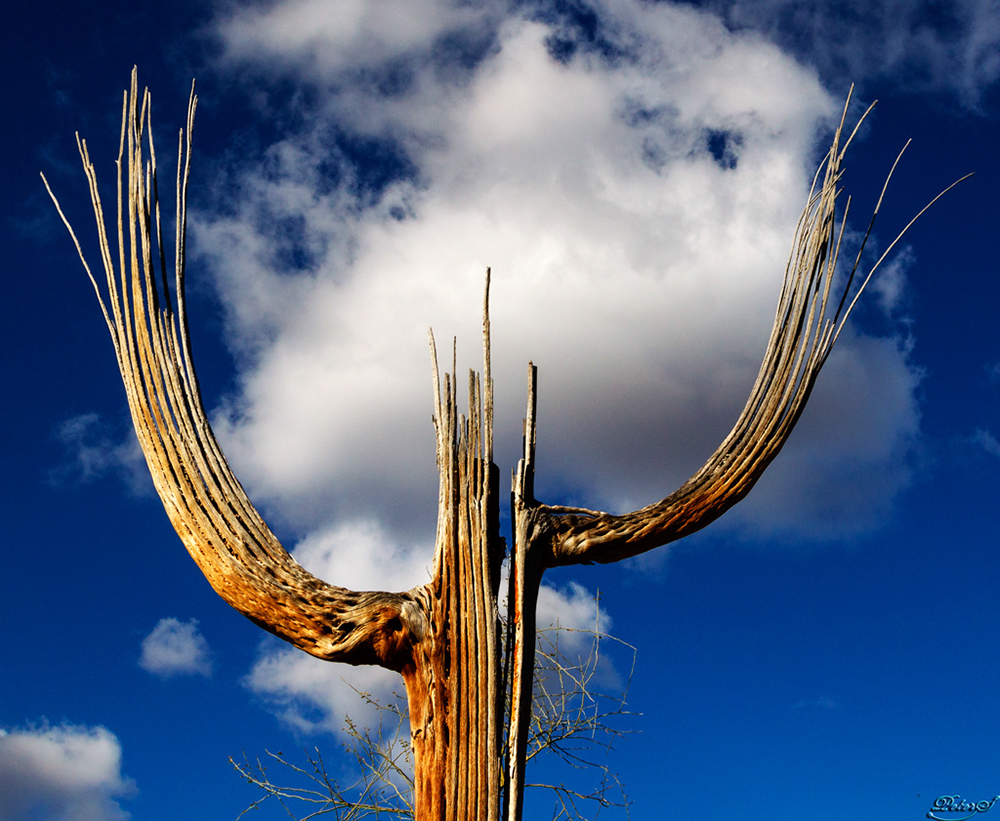 %_tempFileNameIMG_6088%