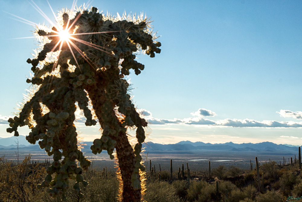 %_tempFileNameIMG_6100%