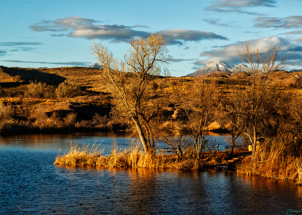 %_tempFileNameIMG_6121%