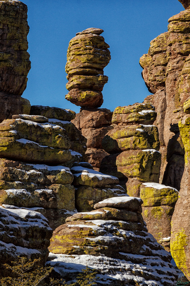 %_tempFileNameIMG_6161%