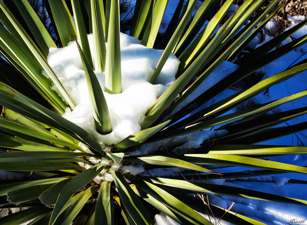 %_tempFileNameIMG_6164%