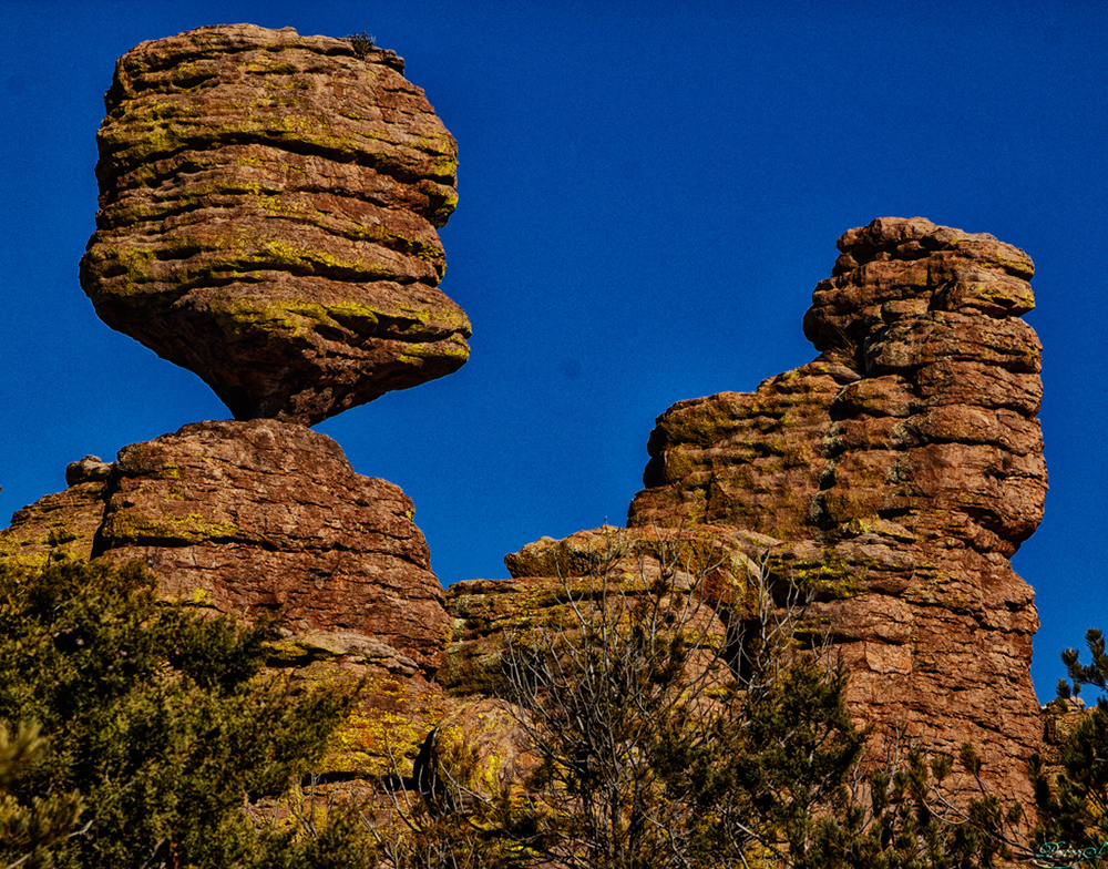 %_tempFileNameIMG_6174%