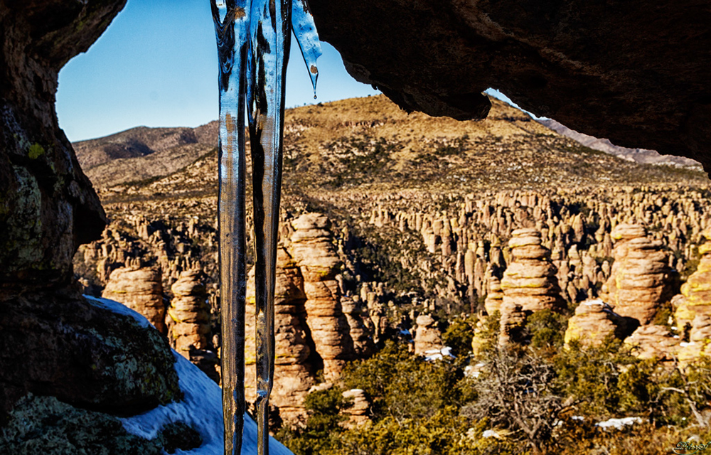 %_tempFileNameIMG_6195%