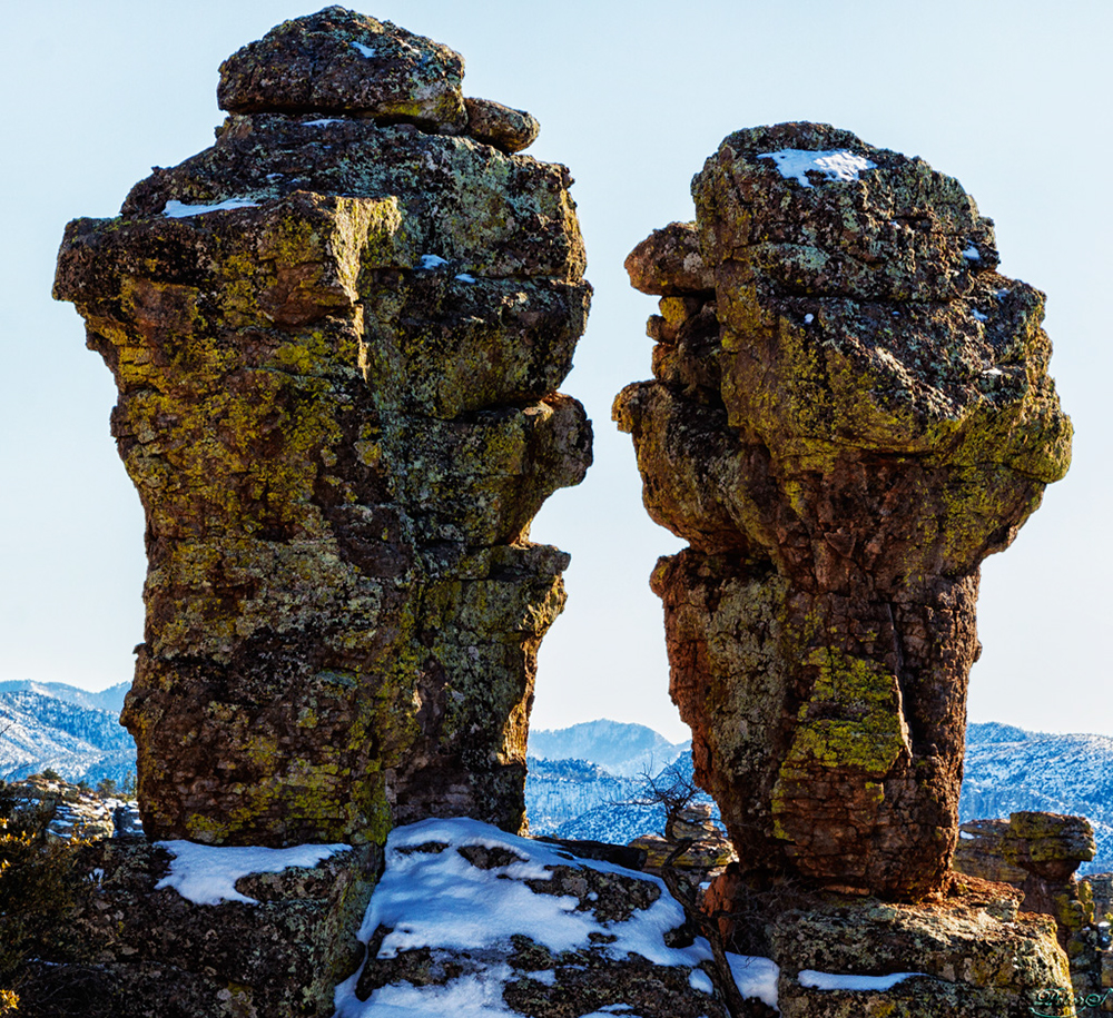 %_tempFileNameIMG_6204%