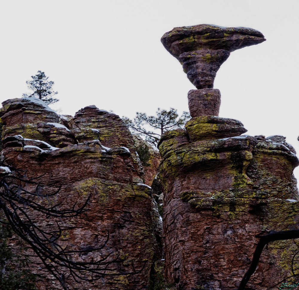 %_tempFileNameIMG_6229%