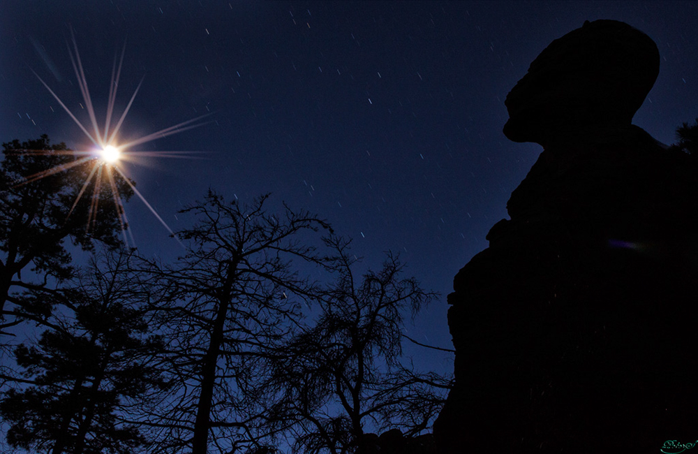 %_tempFileNameIMG_6231%