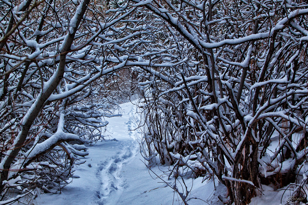 %_tempFileNameIMG_9210%