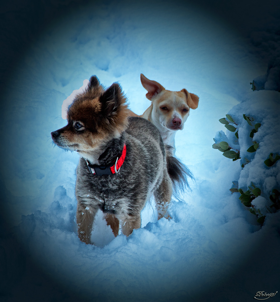 %_tempFileNameIMG_9225%