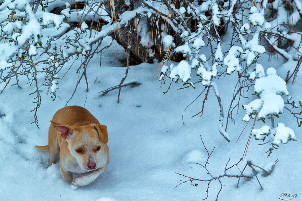 %_tempFileNameIMG_9231%