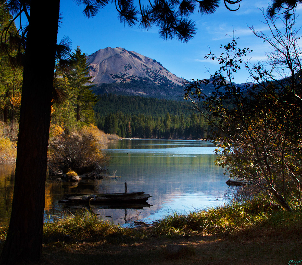 %_tempFileNameIMG_2290%