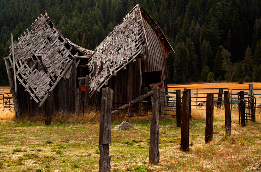 %_tempFileNameIMG_2342%