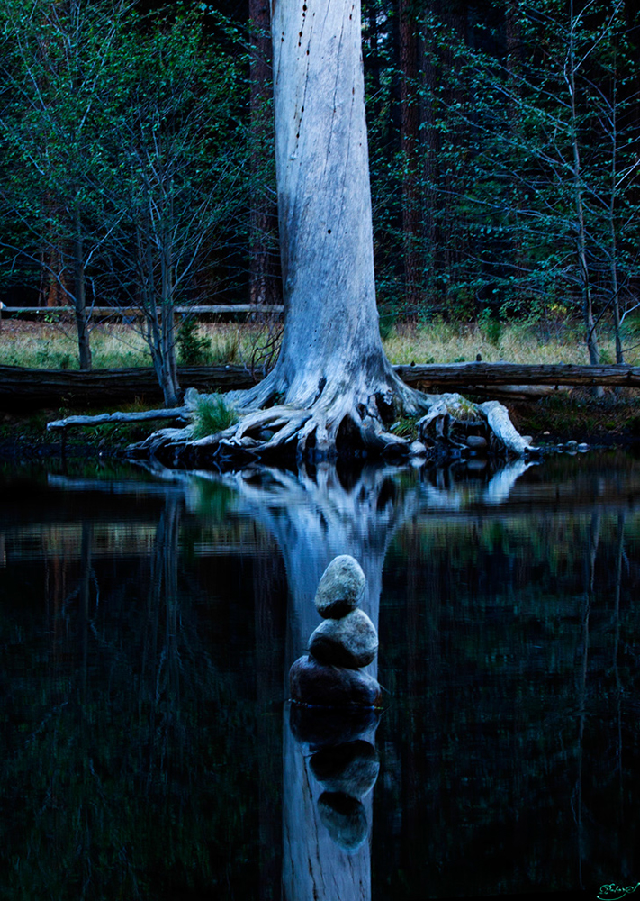 %_tempFileNameIMG_2350%