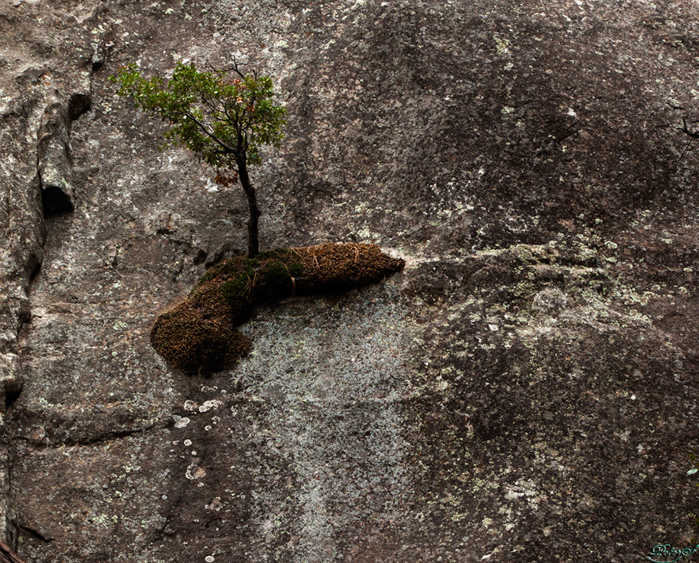 %_tempFileNameIMG_2373%