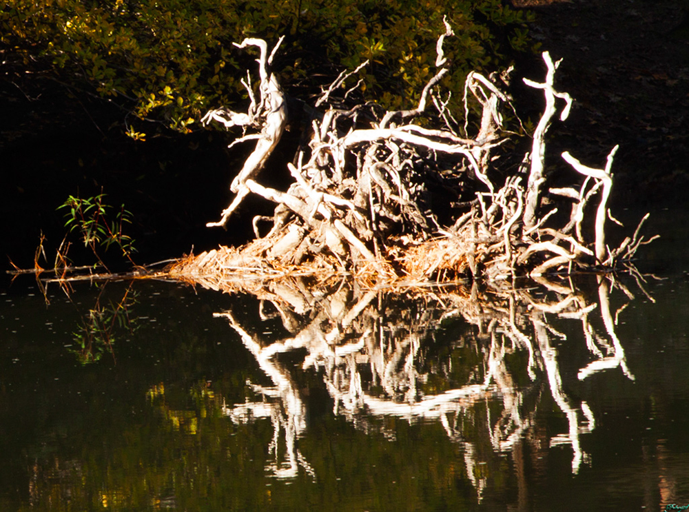 %_tempFileNameIMG_2391%