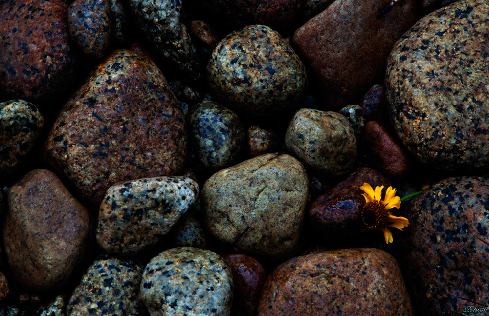 %_tempFileNameIMG_2401%