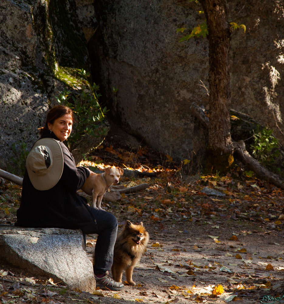 %_tempFileNameIMG_2526%