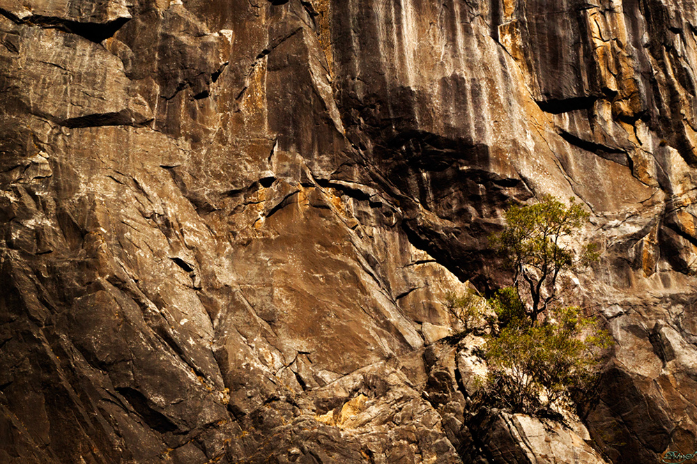 %_tempFileNameIMG_2612%