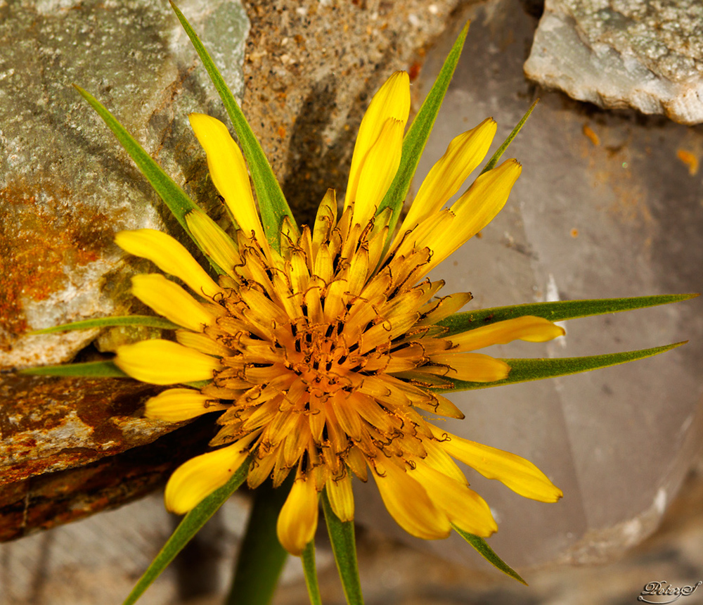 %_tempFileNameIMG_5023%