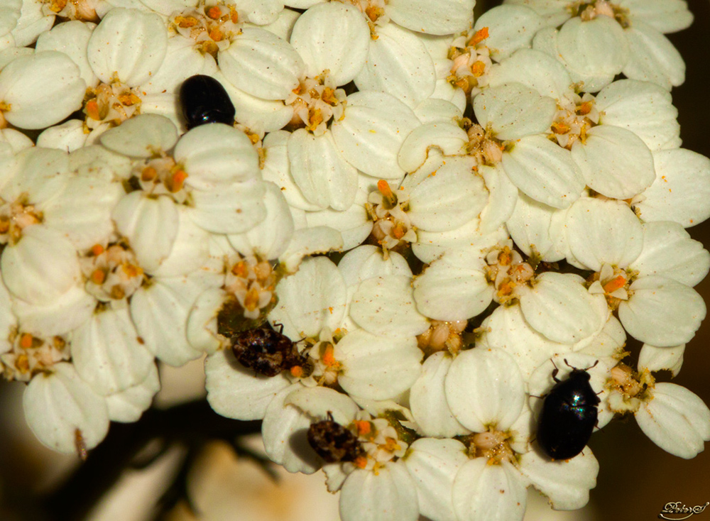 %_tempFileNameIMG_5465%