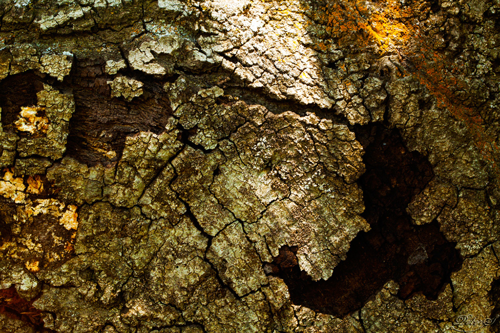 %_tempFileNameIMG_5967%