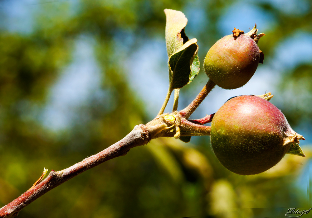 %_tempFileNameIMG_5968%