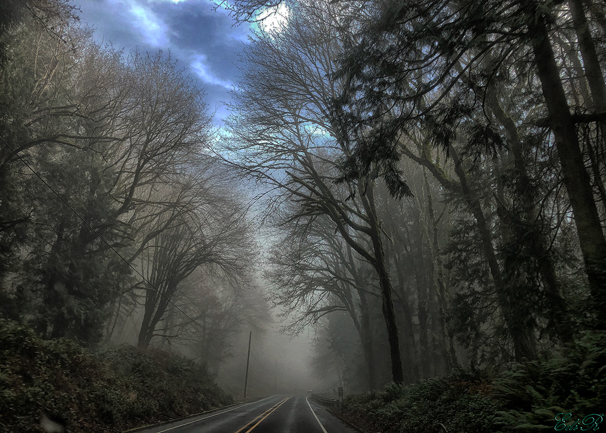 %_tempFileNameIMG_5129edi%