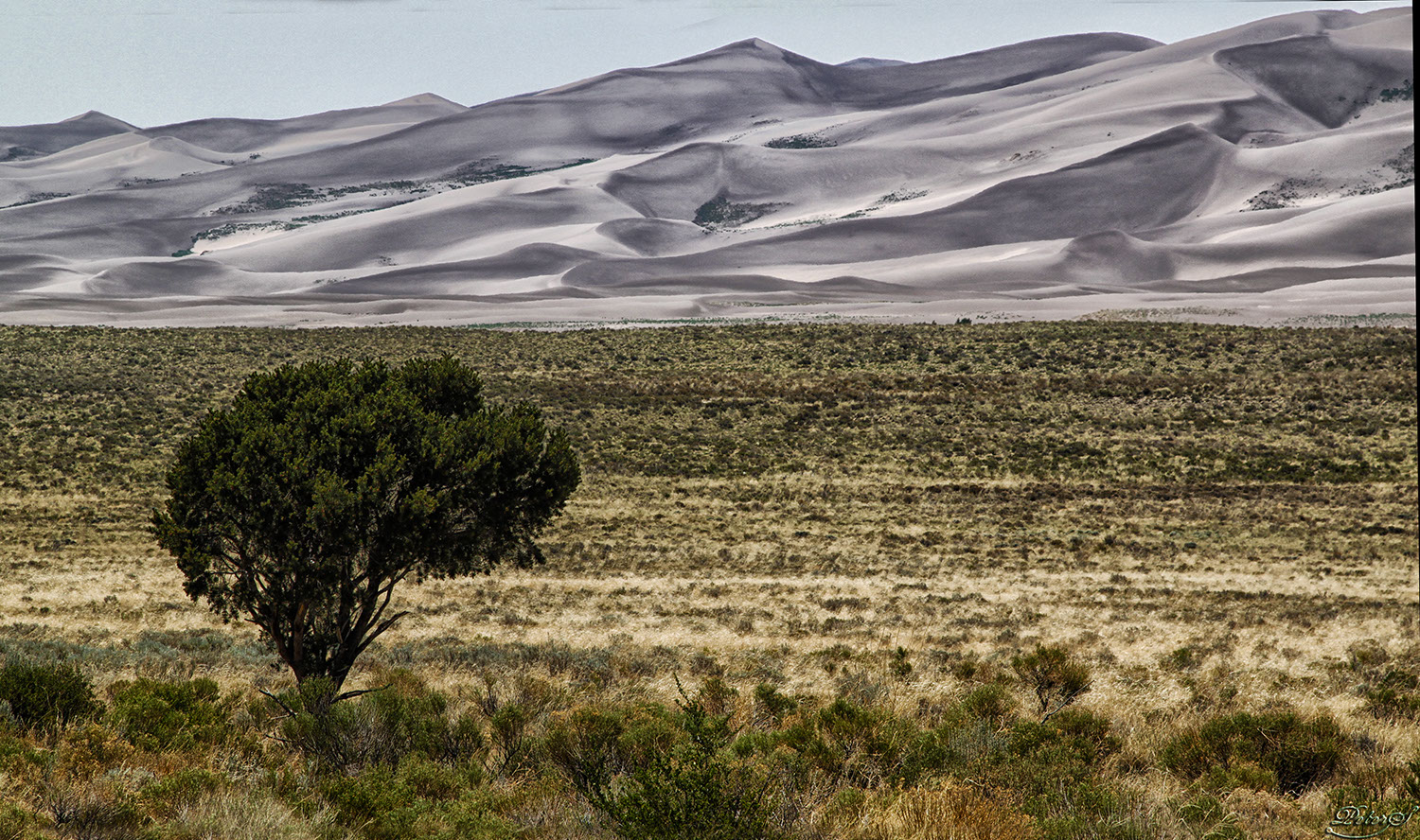 %_tempFileNameIMG_1268%