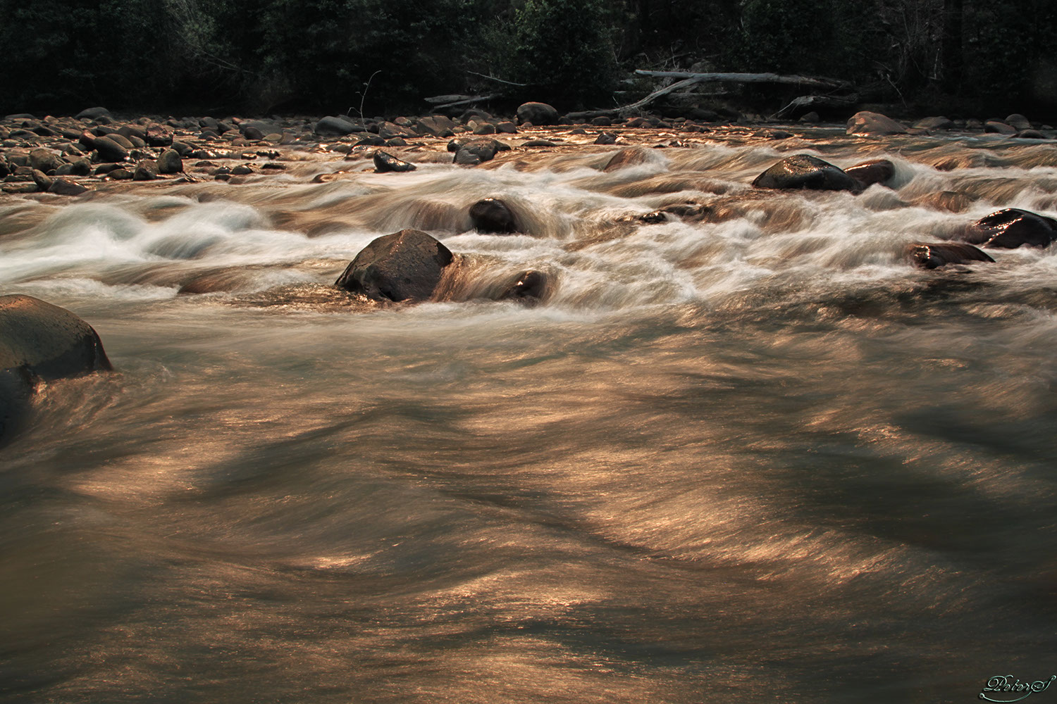 %_tempFileNameIMG_1312%