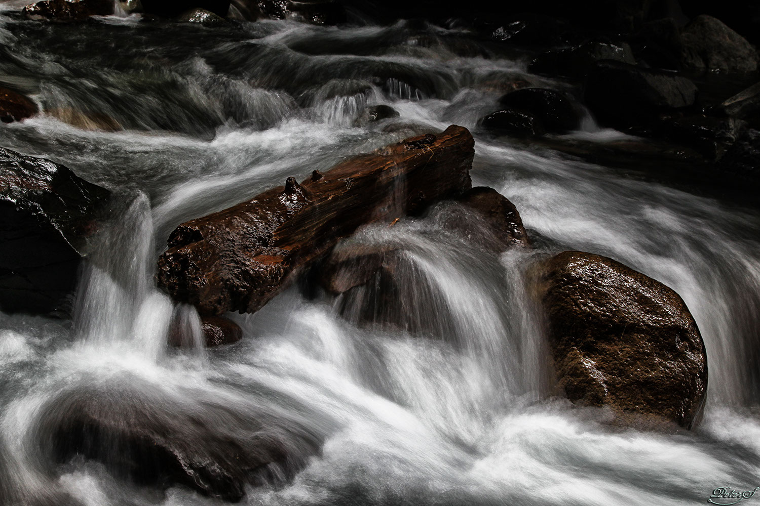 %_tempFileNameIMG_1338%