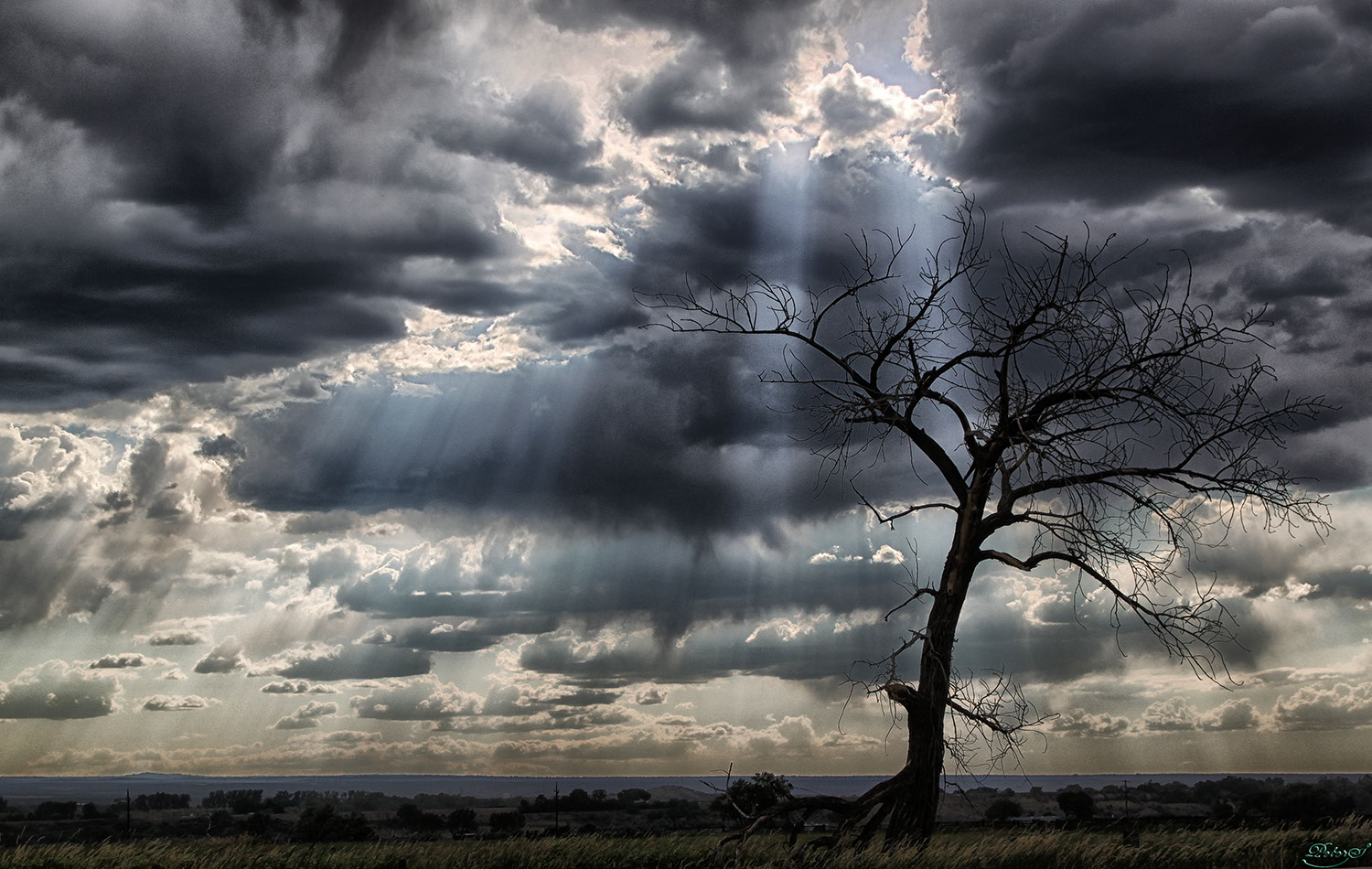 %_tempFileNameIMG_1355%