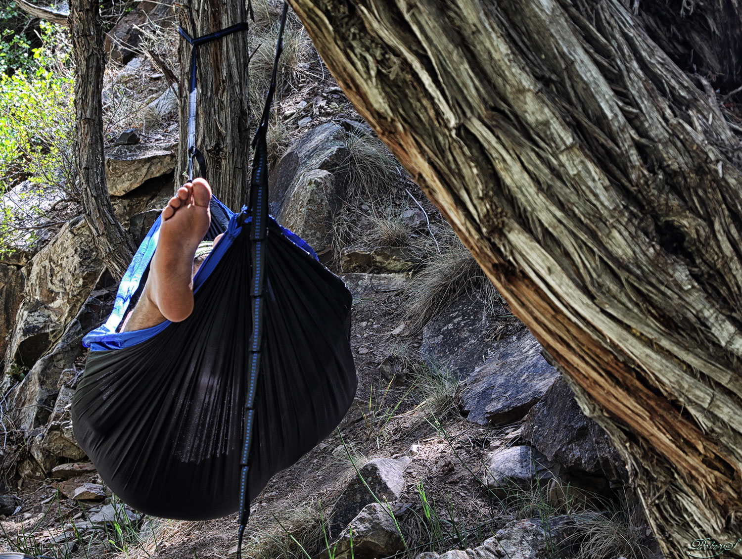 %_tempFileNameIMG_1367%