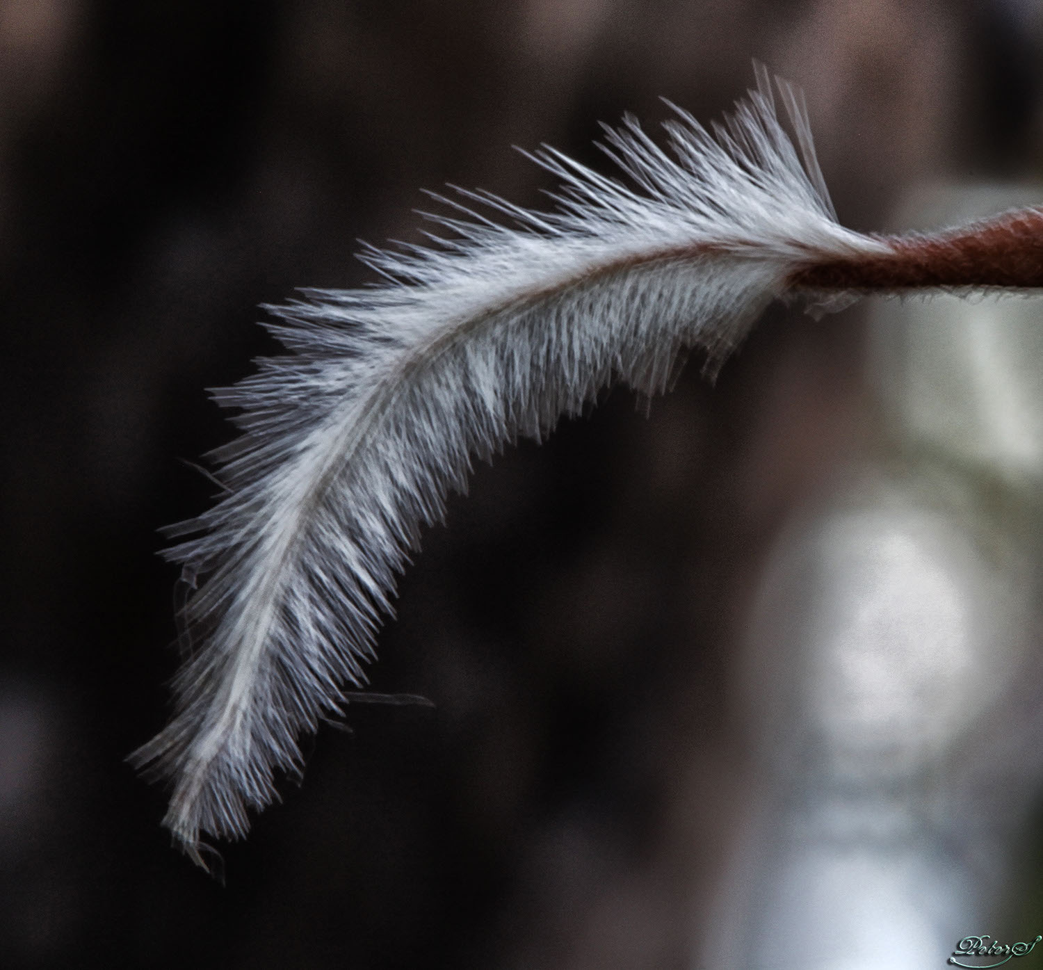 %_tempFileNameIMG_1373%