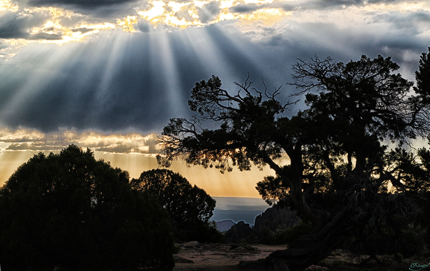 %_tempFileNameIMG_1381%