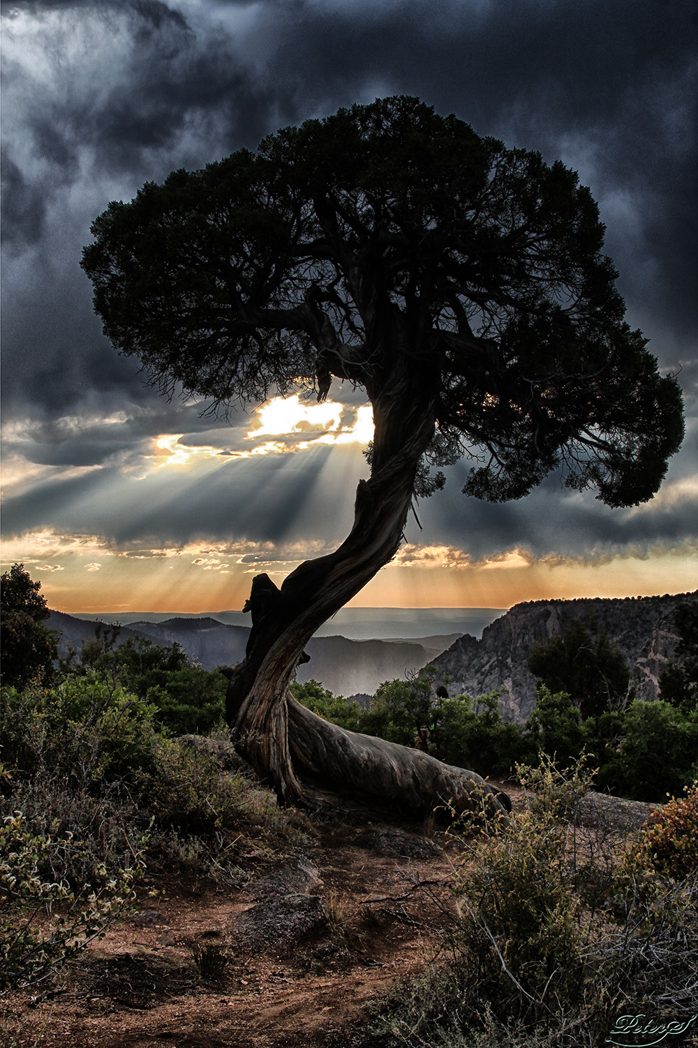 %_tempFileNameIMG_1384%