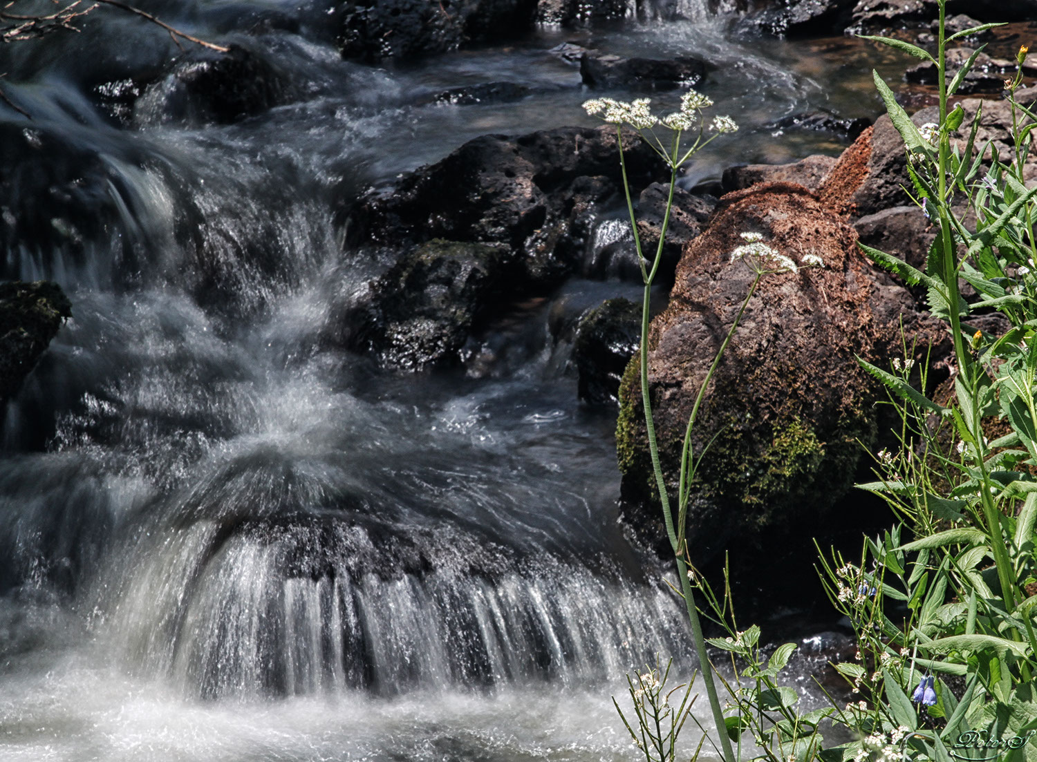 %_tempFileNameIMG_1406%