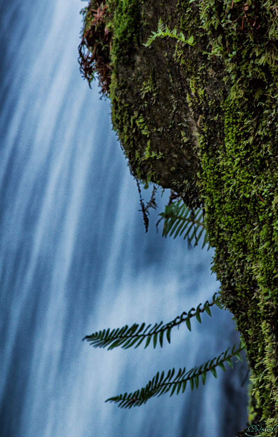 %_tempFileNameIMG_1423%